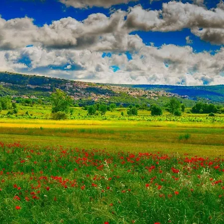 Primabella -makarska By Guide * 폴리차